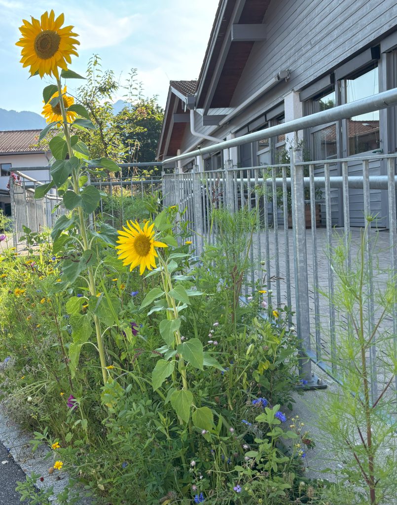 Außenanlage Blumenbeet vor D6