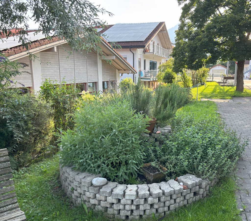 Kräuterbeet bei der Schongruppe