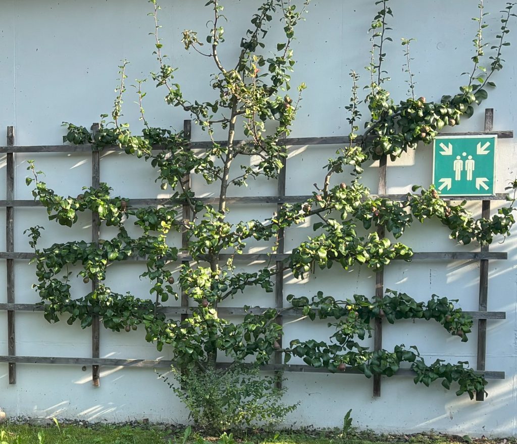 Sammelplatz einmal anders